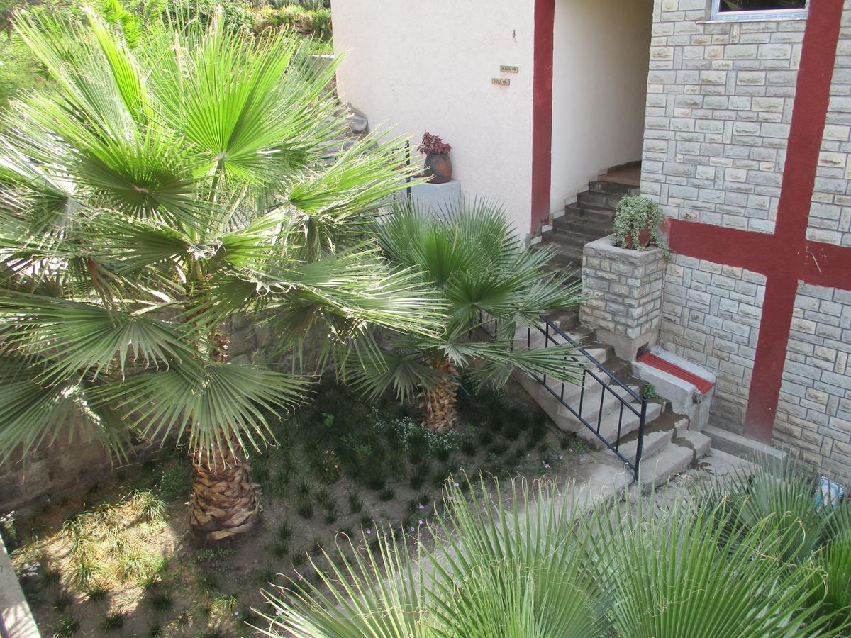 Asham Africa Hotel Bishoftu Dış mekan fotoğraf